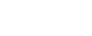 The Conscious Collective