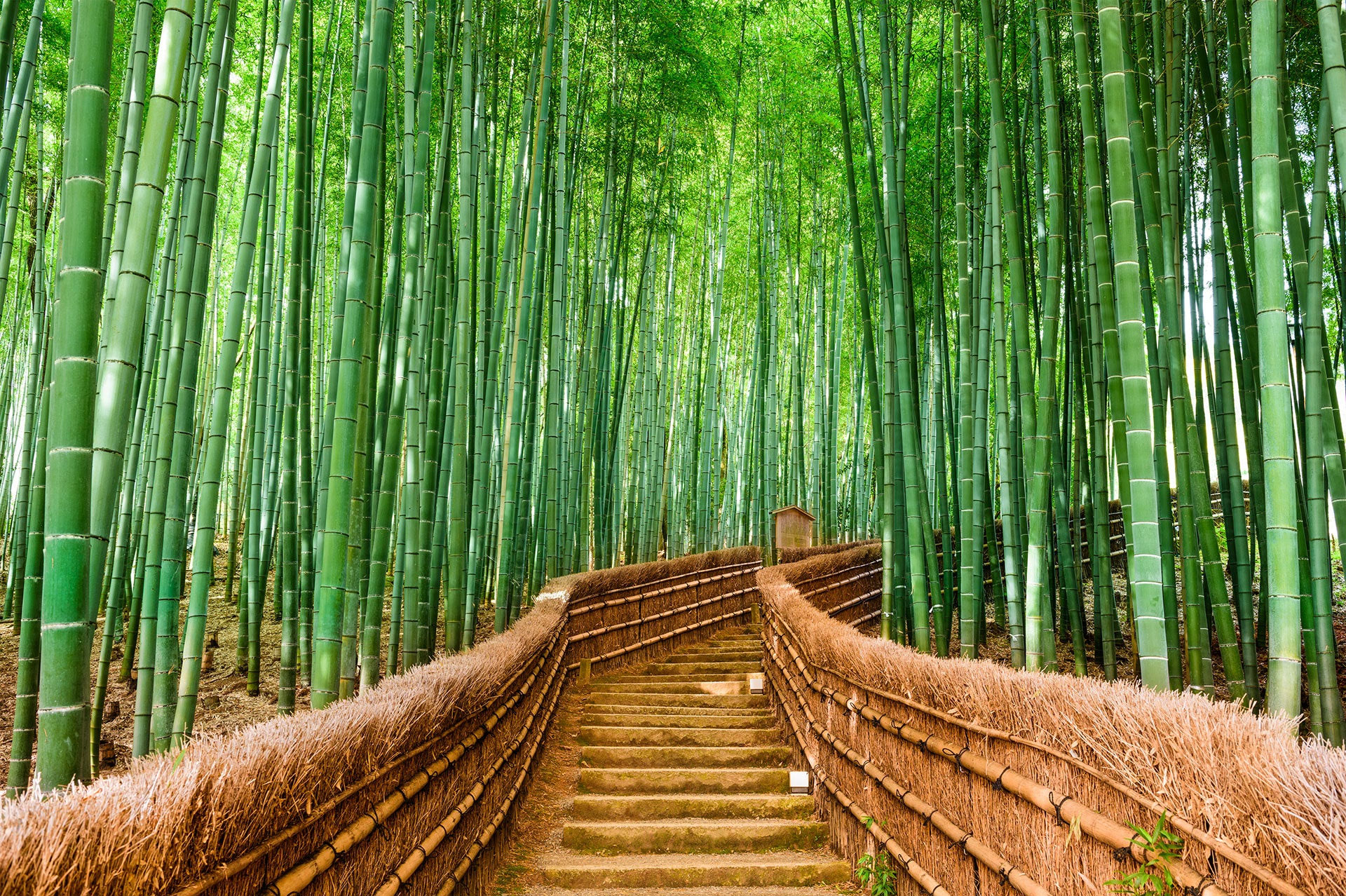 Sustainability and renewability
